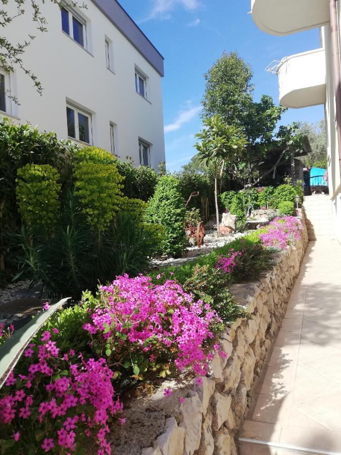 Villa Maslina Zadar Exterior photo
